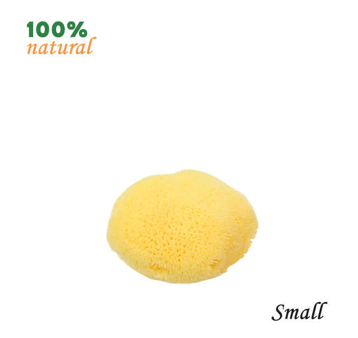 ZippyBloom Natural Greek Fina Silk Sea Sponge