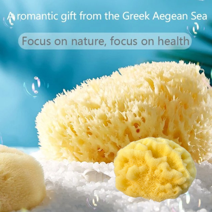 ZippyBloom Natural Greek Fina Silk Sea Sponge